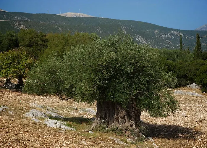 빌라 Sunrise Chaliotata